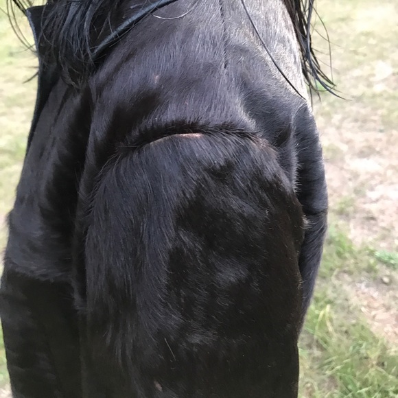 Haute Couture Guver Mallorca Hide Coat Spain - Picture 8 of 8